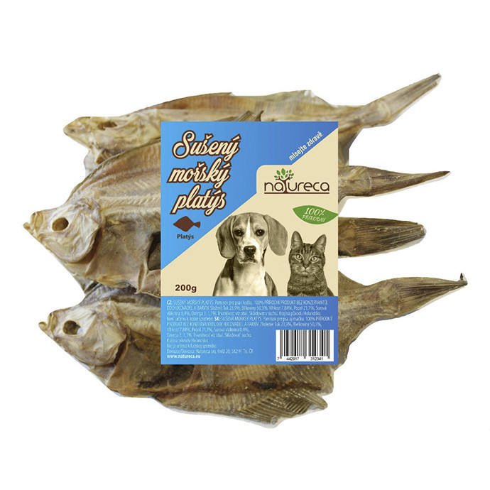 1603206867morsky platys.jpg